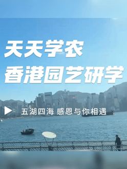 与香港园艺学会联合举办香港园艺研学，专业园境师带队讲解。